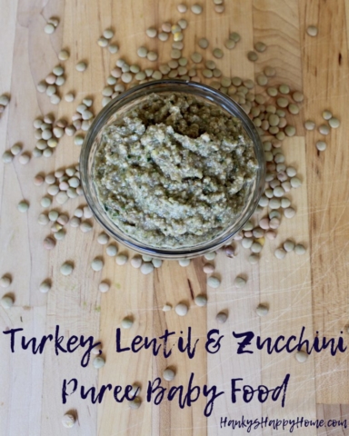 Turkey, Lentil & Zucchini Puree Baby Food | Hanky's Happy Home