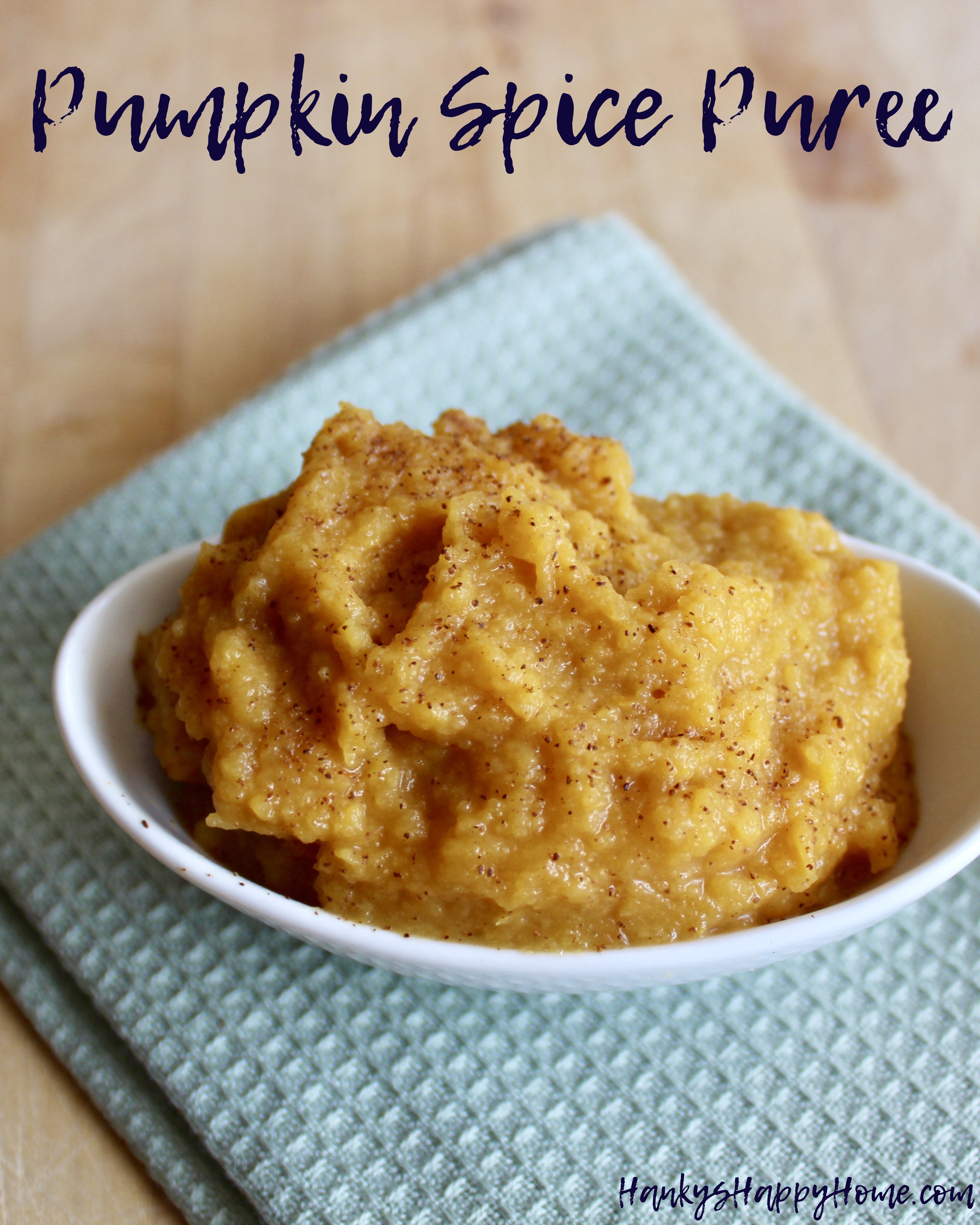 Pumpkin Spice Baby Food Puree | Hanky's Happy Home
