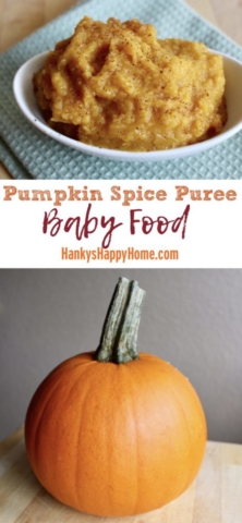Get ready for fall with this delicious Pumpkin Spice Puree. The baby version of pumpkin pie with classic spices and coconut milk.