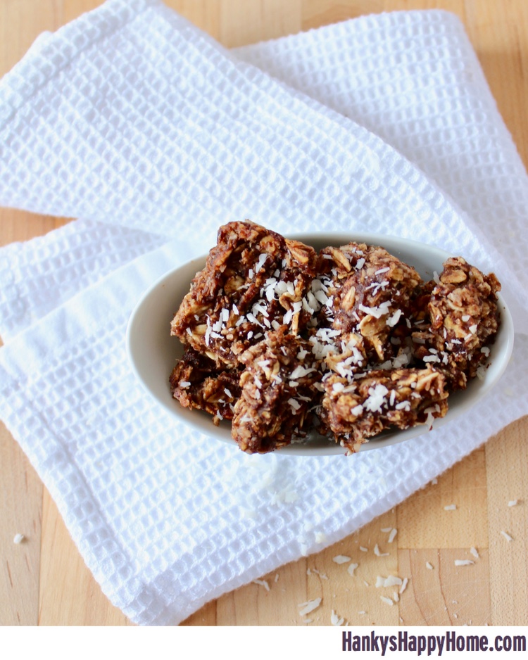 These Date, Coconut & Cocoa Oat Bars combine rolled oats, dates, shredded coconut, and cocoa powder into an easy snack without added refined sugar.