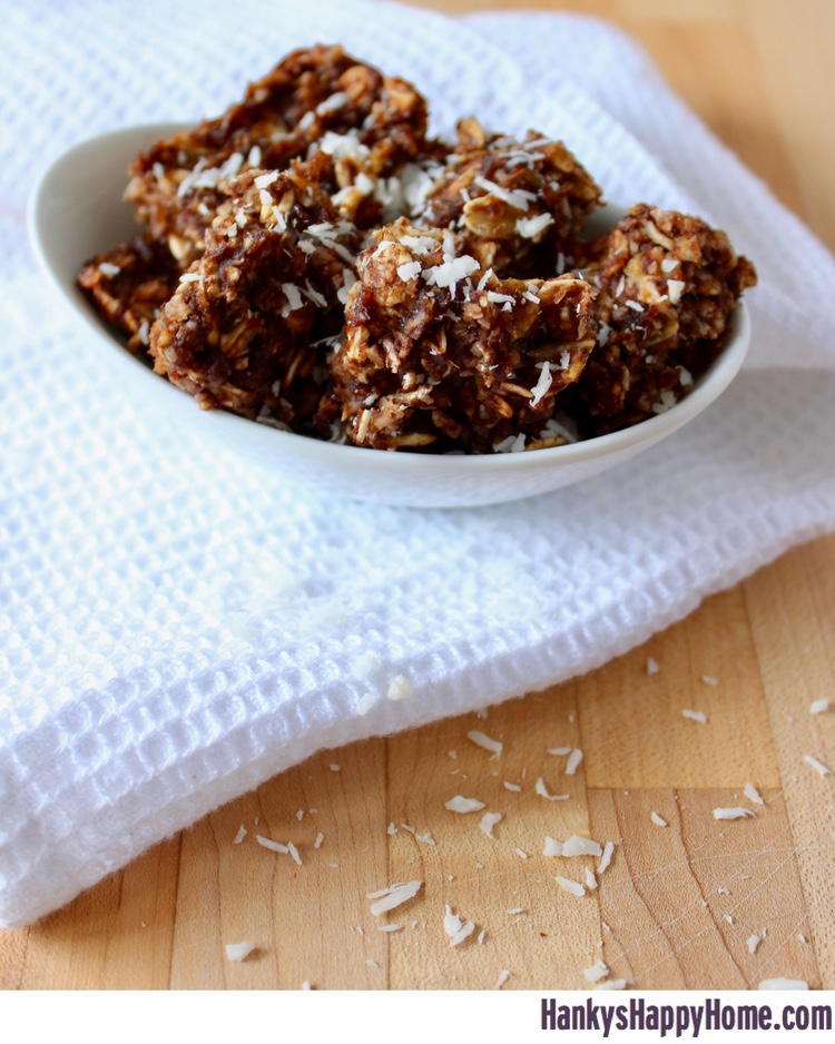 These Date, Coconut & Cocoa Oat Bars combine rolled oats, dates, shredded coconut, and cocoa powder into an easy snack without added refined sugar.